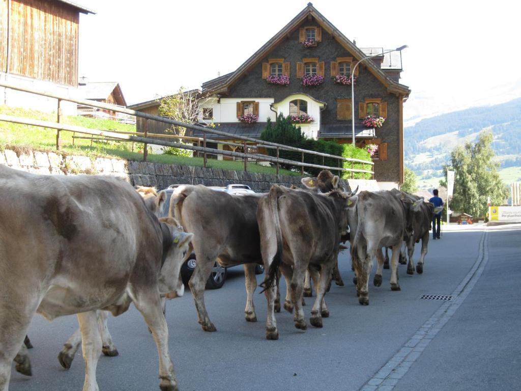 Hotel Kistenpass Breil/Brigels Bagian luar foto